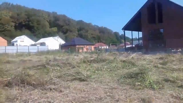 Большой покос,день 2й.STIHL FS-250 и STIHL FS-55. смотреть онлайн