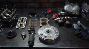 Selva 15 полный разбор