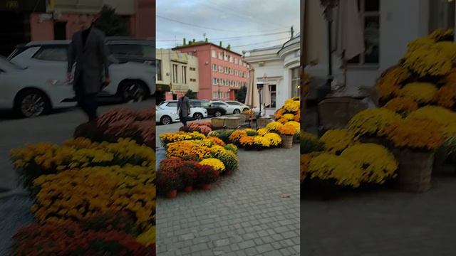 Новое название канала. Полтава, прогулка по центру