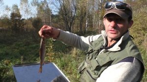 Хариус холодного копчения!!!!!