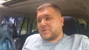 Грузоперевозки с нуля в 2023. Какую машину купить ? Тент или Реф? Как кидают на Фуд сити