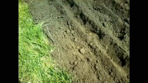 #2. Супер быстрая посадка картошки/СУПЕР РАЛО/ РУЧНАЯ КАРТОФЕЛЕСАЖАЛКА.