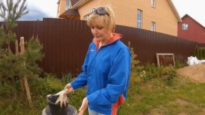 Простое и эффективное удобрение из скошенной травы