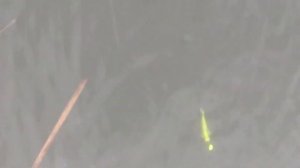 Силиконовая приманка ЛАРВА Fanatik ,офсетный крючок.