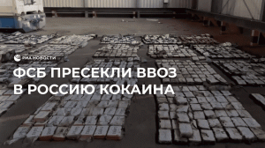 ФСБ пресекли ввоз в Россию латиноамериканского кокаина