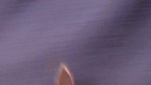 КРЫЛЫШКИ для МУШЕК за 5 секунд.