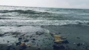 Washed away on the shores of Miramare Beach, Limassol, Cyprus.