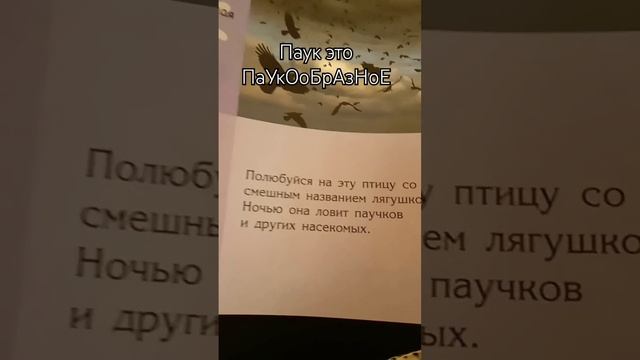 Новости: сегодня паук стал насекомым. Паучков и других насекомых а они паукообразные