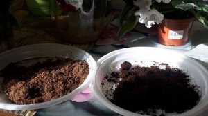 Готовим грунт для пересадки Фиалок! Как обеззаразить?