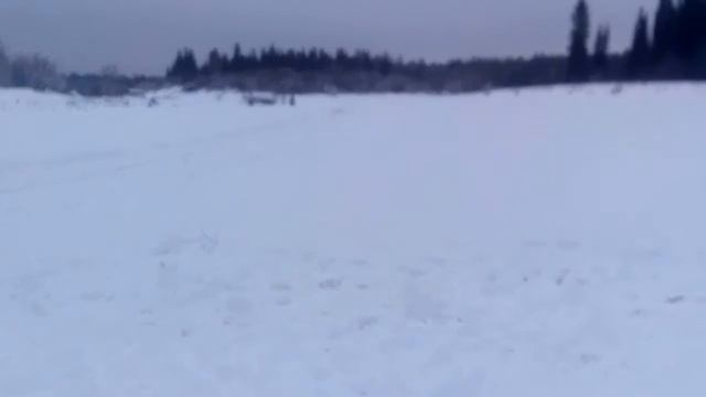 Налим на живца смотреть онлайн