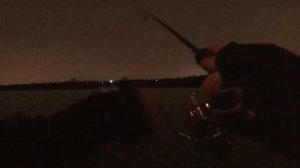 Ловля рыбы су-да-к в Коломенском парке