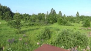 Участок в Левино Раменского района Московской области