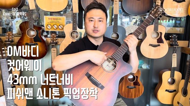 원가 생각 안하고 만든 기타, 콜트 Core-OC 블랙우드 смотреть онлайн