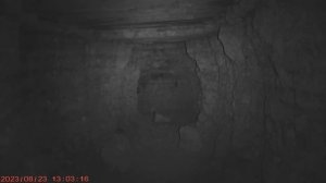 За новыми приключениями  Ч6 19.08.2023