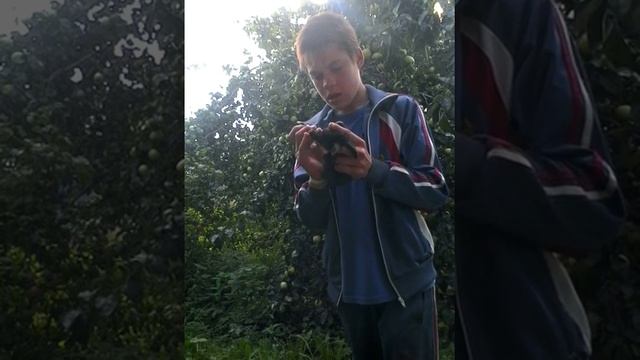Как лечить понос у маленьких крольчат.