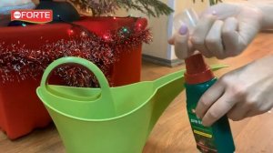 Чтобы елка долго стояла и не осыпалась | Cредство для новогодних елей Bona Forte