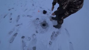 ЩУКА НА ЩУКУ эксперимент. НОЧЁВКА на ЛЬДУ. Зимняя рыбалка 2022. Зимняя рыбалка.