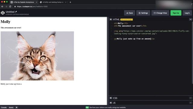 Make you first Website in HTML using Codepen!