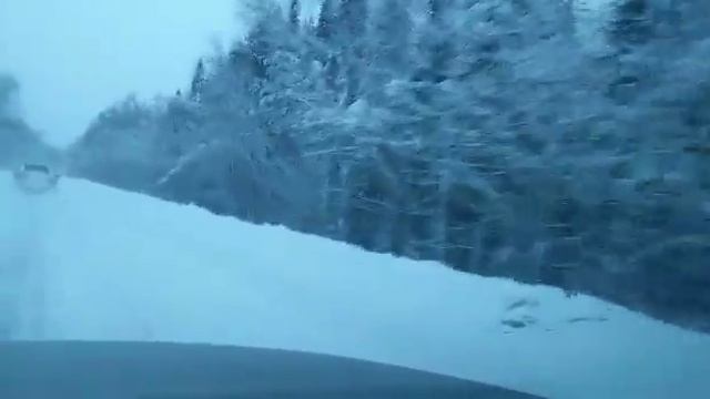 Дорога на Телецкое озеро зимой смотреть онлайн