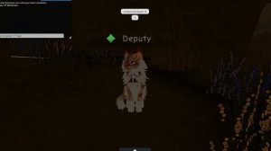 как проходить тест на цела? (коты воители )