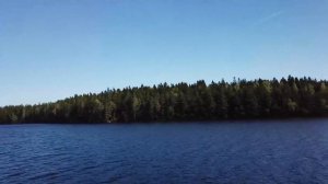 Белое озеро ( Лен. обл. )