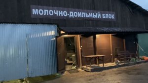 Про доярку (дояра)