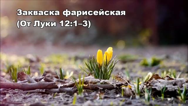 Тихое время с Живой Жизнью: от Луки 12:1–12 (01032017) смотреть онлайн