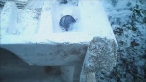 Раскаленный шар положил на пенопласт и пластиковые панели. Эксперимент