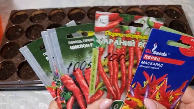 Острый перец нужно сеять раньше. Восторг от эксклюзива!