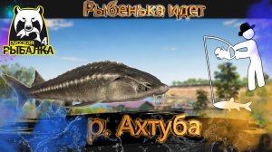 RF4 ВОТ ГДЕ ОБИТАЮТ ТЯЖЕЛОВЕСЫ И РАЗМОТЫ #рр4