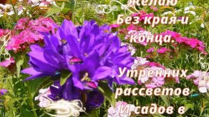 С Днем ангела Надежда! Красивое музыкальное поздравление в стихах для Нади, Наденьки!
