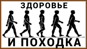 ЗДОРОВЬЕ И ПОХОДКА ЧЕЛОВЕКА