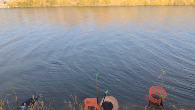 Арнасай. Золотой мост. 16.11.2023г. смотреть онлайн