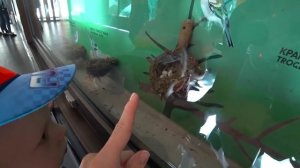 МИЛАНА и ДАНЯ ПОТЕРЯЛИСЬ В ЗООПАРКЕ уходим БЕЗ ДЕТЕЙ ПАПА говорит СТИХАМИ