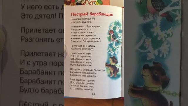 Пестрый барабанщик/стих Агния Барто