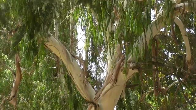 Прощание с Сочи, 13 июля 2014 г , вторая часть смотреть онлайн