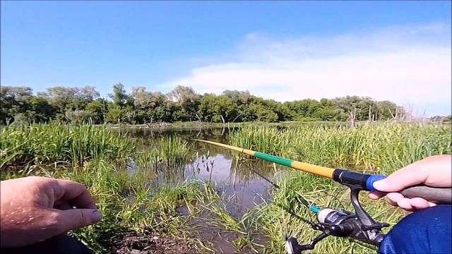Рыбалка на ПОПЛАВОЧНУЮ удочку .