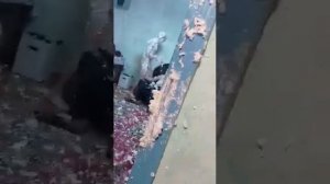 вечеринка монтажная пена, нашли монтажную пену, все в пене, монтаж окон, вся семья