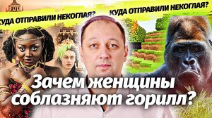 Зачем женщины соблазняют горилл, куда отправили Некоглая и мисс Америка уже не та