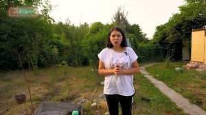 Как сделать компост на  дачном участке или  в квартире?