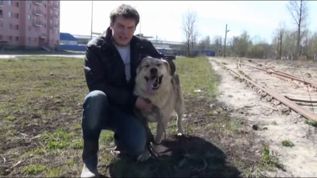 Полкаша