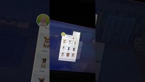 Как приютить питомца в симс 4??