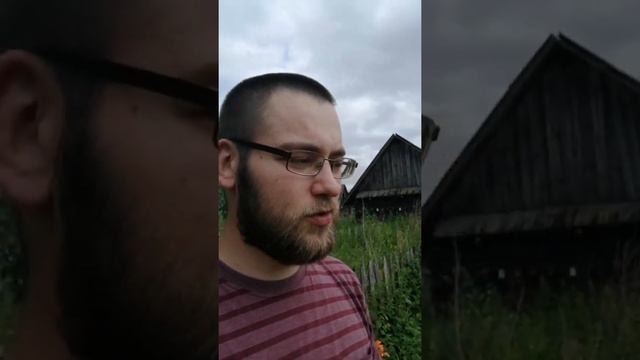Первые вешенки!!!! Обход огорода.