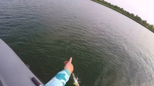 Воблеры Chimera Тест на воде