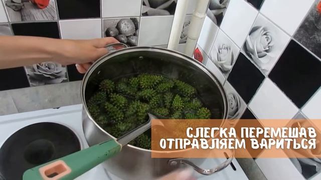 Знаменитое варенье из шишек на зиму смотреть онлайн