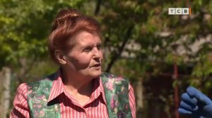 Тыква и фасоль. Секреты посадки и ухода. 6 соток 07.05.2018