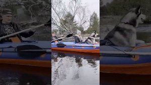 Сплав на байдарке Шуя 2 и Вега 2