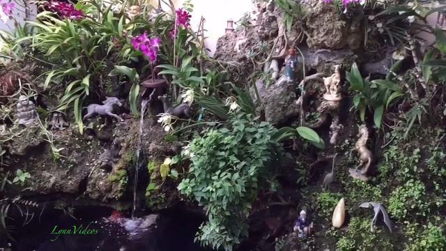 Orchid family flowers смотреть онлайн