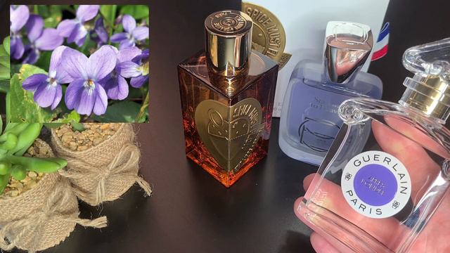 7 NOTES 7 FRAGRANCES TAG