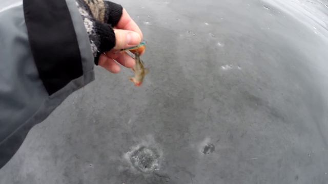 Щука Судак Окунь на балансир смотреть онлайн